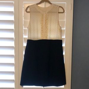 J.Crew Size 12 Dress